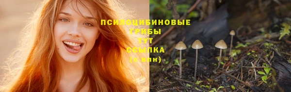бутират Алзамай