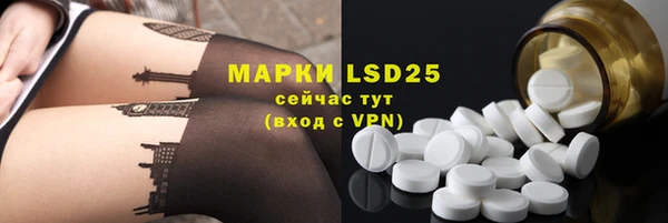 ПСИЛОЦИБИНОВЫЕ ГРИБЫ Абаза